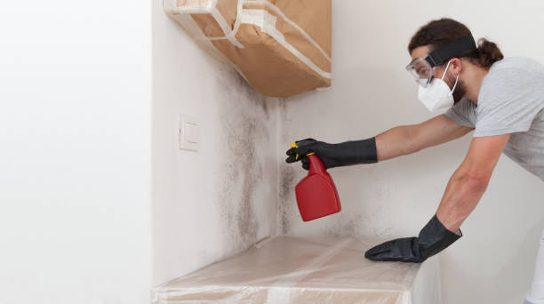 Professional Crawl Space Mold Remediation technician working in Three Oaks, MI
